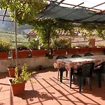 Casa David
