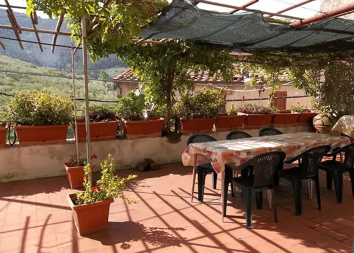 Casa David