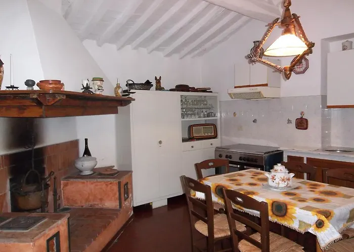 Tatil Evi Casa David *